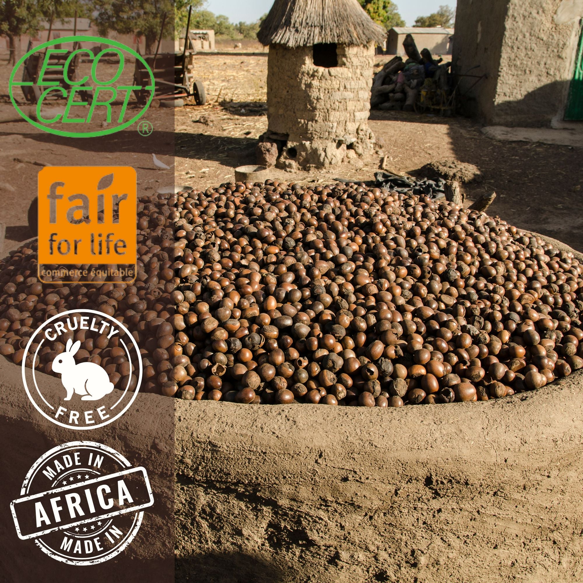 Beurre de Karité Bio (500g/1kg)